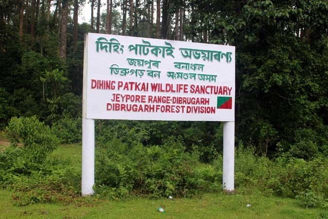 Understanding The History Of Dehing Patkai Wildlife Sanctuary From A Legal Perspective Nature 7488